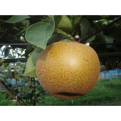 �y��s��t�z�y150������z���w�����Â��x(2026�N8�����{�`9�����{�����\��)