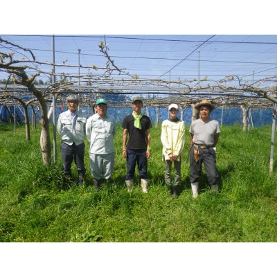 【限定30口】梨『幸水』5kg　2026年8月上旬より発送予定