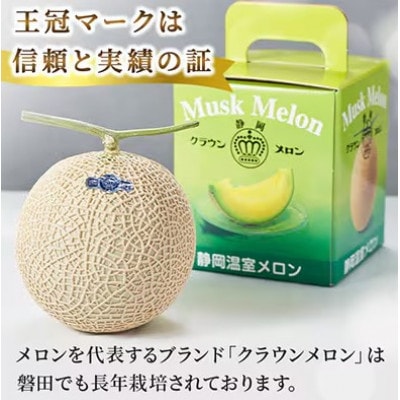 【毎月定期便】クラウンメロン(白等級1.0)1玉 全12回