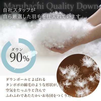 丸八真綿 羽毛掛け布団 シングル 150×210cm 日本製 ホワイトダックダウン90%