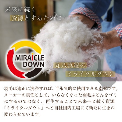 羽毛掛け布団 セミダブル 170×210cm 0.25kg リサイクル羽毛 75% アイボリー 無地