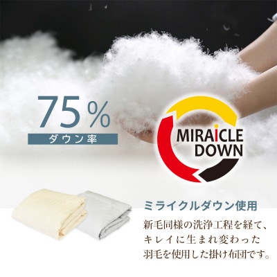 羽毛掛け布団 セミダブル 170×210cm 0.25kg リサイクル羽毛 75% アイボリー 無地
