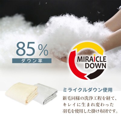 羽毛掛け布団 シングル 150×210cm 0.2kg リサイクル羽毛 85% グレー 無地