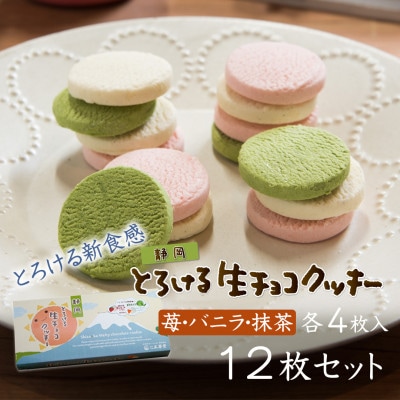 【名誉総裁賞受賞】とろける玉華堂の極ぷりん5個&静岡とろける生チョコクッキー12枚入