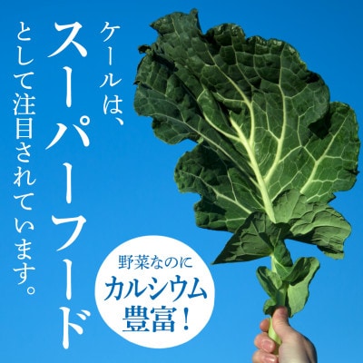 手軽に野菜摂取!【無添加 ケールまるごと100%青汁ジュース 原材料 静岡県磐田市産 有機栽培】冷凍