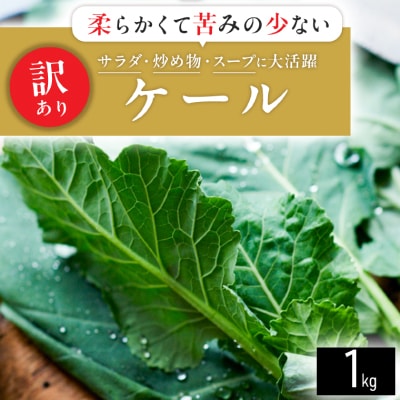 【訳あり】ソフトケール 1kg【TV紹介で大好評】おいしさで、ケールに革命を。