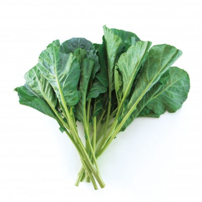 【訳あり】ソフトケール 3kg【TV紹介で大好評】おいしさで、ケールに革命を。