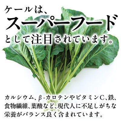 【訳あり】ソフトケール 5kg【TV紹介で大好評】おいしさで、ケールに革命を。