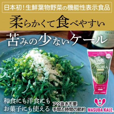 【毎月定期便】TV紹介で大好評 ソフトケール 100g×5袋 健康 腸活応援 スムージー 全12回