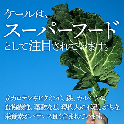 【毎月定期便】血圧対策+手軽に野菜摂取!【無添加 ケールまるごと100%青汁】スーパーフード全3回
