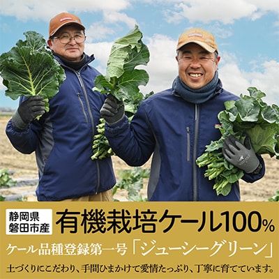 【毎月定期便】血圧対策+手軽に野菜摂取!【無添加 ケールまるごと100%青汁】スーパーフード全3回