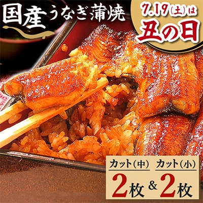 浜名湖・うなぎのたなかのふっくら柔らか♪国産うなぎカット蒲焼(中)2枚(小)2枚※合計290g程度