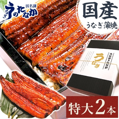 浜名湖・うなぎのたなかの長蒲2本ギフト!ふっくら柔らか♪国産うなぎ長蒲焼※合計360g程度