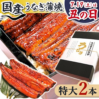 浜名湖・うなぎのたなかの長蒲2本ギフト!ふっくら柔らか♪国産うなぎ長蒲焼※合計360g程度
