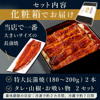 浜名湖・うなぎのたなかの長蒲2本ギフト!ふっくら柔らか♪国産うなぎ長蒲焼※合計360g程度