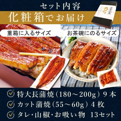 浜名湖・うなぎのたなかのふっくら柔らか国産うなぎ!どっさり山盛り!長蒲焼9本、カット(小)4枚