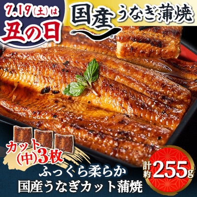 浜名湖・うなぎのたなかのふっくら柔らか♪国産うなぎカット蒲焼(中)3枚※合計255g程度