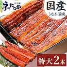 浜名湖・うなぎのたなかの長蒲焼2本セット!ふっくら柔らか♪国産うなぎ長蒲焼※合計360g程度