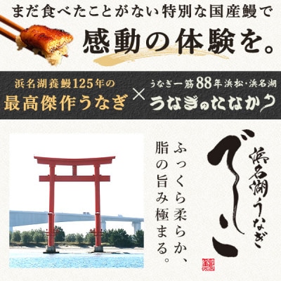 浜名湖養鰻125年の最高傑作「でしこ」!浜名湖・うなぎのたなか国産長蒲焼1本※簡易箱・合計約110g