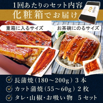 【2ヵ月毎定期便】浜名湖・うなぎのたなかの国産鰻長蒲焼3本、カット小2枚※1回分約650g全3回