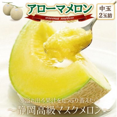 【通年出荷】アローマメロン(中玉)2玉入【静岡高級マスクメロン】