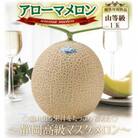 【通年出荷】アローマメロン(山等級) 1玉入【静岡高級マスクメロン】