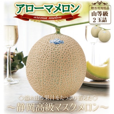 【通年出荷】アローマメロン(山等級) 2玉詰【静岡高級マスクメロン】