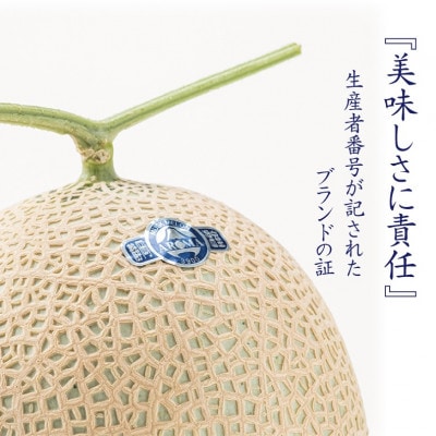 【通年出荷】アローマメロン(山等級) 2玉詰【静岡高級マスクメロン】