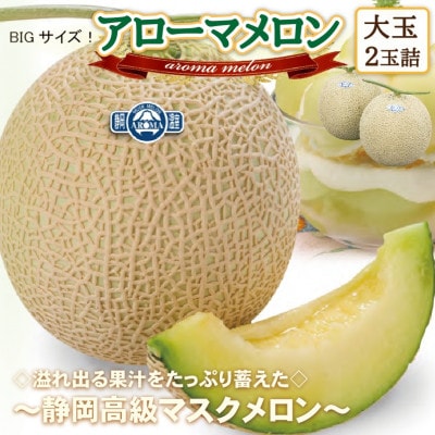 【通年出荷】アローマメロン(大玉)　2玉詰【静岡高級マスクメロン】