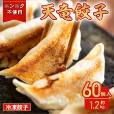 天竜餃子 60個入り! 約1.2kg【ニンニク不使用】いつでも手軽に美味しく食べれる冷凍餃子