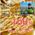 静岡発!キャベツの旨さを追及した【天竜餃子】手土産にも配りやすいパック入り/20個×5パック