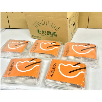 静岡発!キャベツの旨さを追及した【天竜餃子】手土産にも配りやすいパック入り/20個×5パック