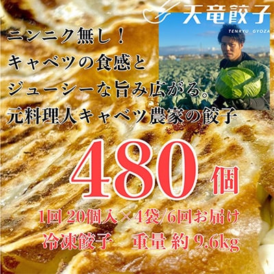 【毎月定期便】静岡発!キャベツの旨さを追及した【天竜餃子】80個入り/約1.6kg/全6回