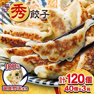 秀餃子 120個(40×3箱)2.4kg 国産野菜と肉の新鮮さにこだわった本気のぎょうざ 国産 冷凍