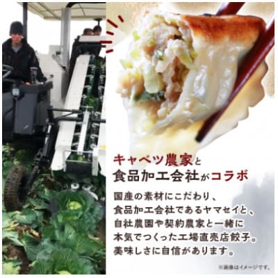 秀餃子 3箱