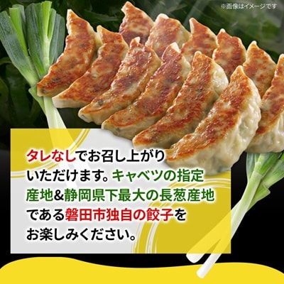 しっぺいの葱塩餃子 150個(50個×3袋)きわだつ旨み!磐田市特産品の長葱使用 国産ぎょうざ 冷凍