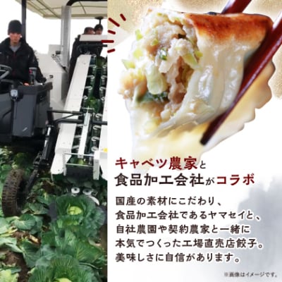 【発送月固定定期便】秀餃子80個(40個×2箱)×隔月発送6回 静岡県磐田市 全6回