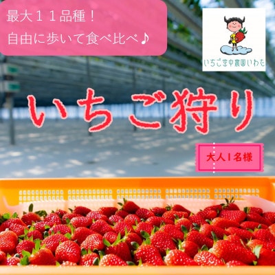 最大10品種以上食べ比べ!　いちご空中農園いわた　いちご狩り入園券　45分間食べ放題