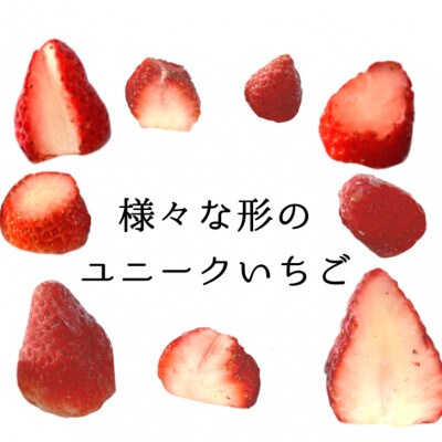 【2024年11月下旬発送】冷凍イチゴ『やよい姫』2kg