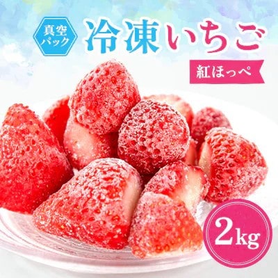 【2025年6月上旬以降発送予定】冷凍いちご『紅ほっぺ』2kg