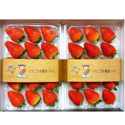 【いちご空中農園いわた】【きらぴ香】【期間限定】大粒 8～15玉×2パック ギフトBOX入り