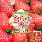 先行受付/2025年12月上旬発送開始!抜群の美味しさ!静岡限定:きらぴ香いちご 280g×2パック