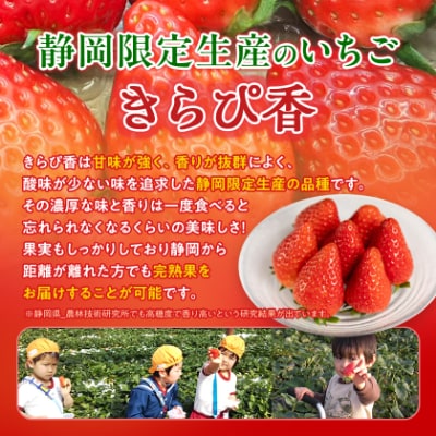 先行受付/2025年12月上旬発送開始!抜群の美味しさ!静岡限定:きらぴ香いちご 280g×4パック