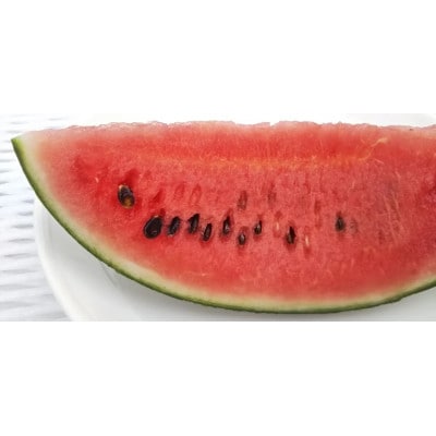 【先行受付/2025年8月上旬より発送】1玉!夏を思いっきり楽しむ!シャリ感抜群!スイカ【ぷちっと】