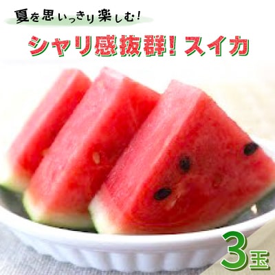 【先行受付/2026年8月上旬より発送】3玉!夏を思いっきり楽しむ!シャリ感抜群!スイカ【ぷちっと】