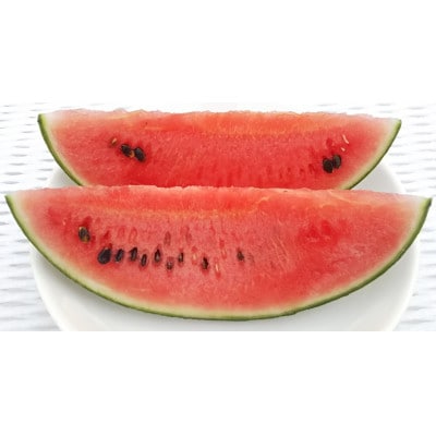 【先行受付/2026年8月上旬より発送】2玉!夏を思いっきり楽しむ!シャリ感抜群!スイカ【ぷちっと】