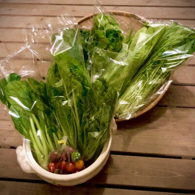 野菜ソムリエ推奨!鍋におすすめの野菜詰め合わせセット【香りと食味を楽しむ8品目】