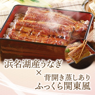 浜名湖産 うなぎ蒲焼 2尾入り