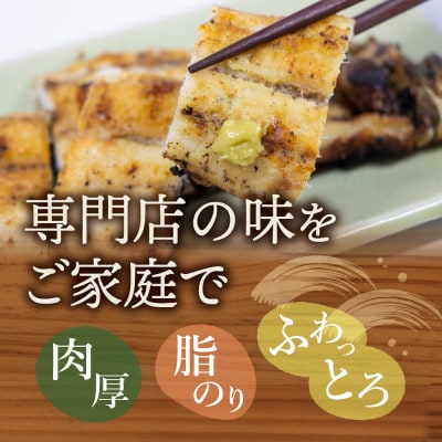 浜名湖産 うなぎ白焼 5尾入り