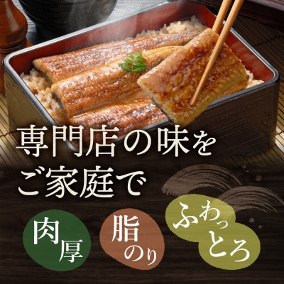 浜名湖産 うなぎ蒲焼 5尾入り